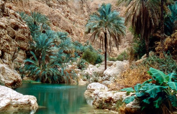 وادی شاب
