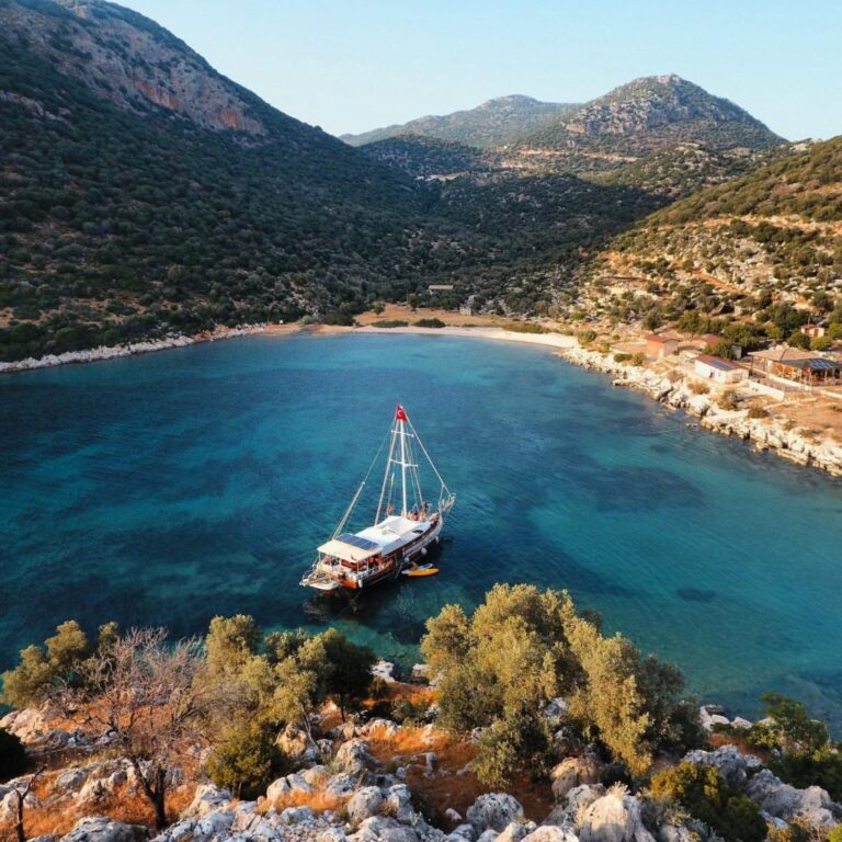 2023-01-31-17-10-36-1024x1024