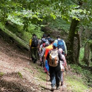 تور الماس به ویسادار (5)