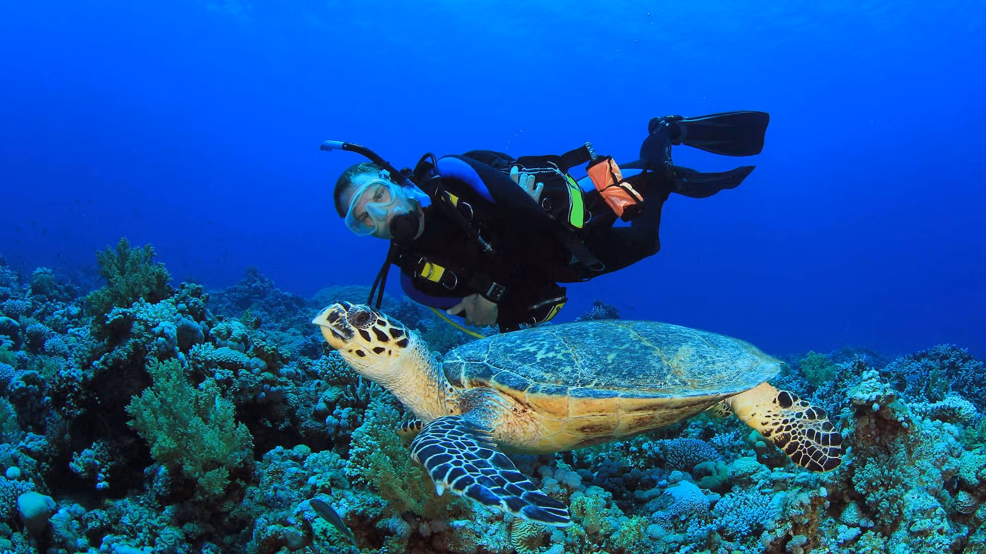 غواصی در کرون