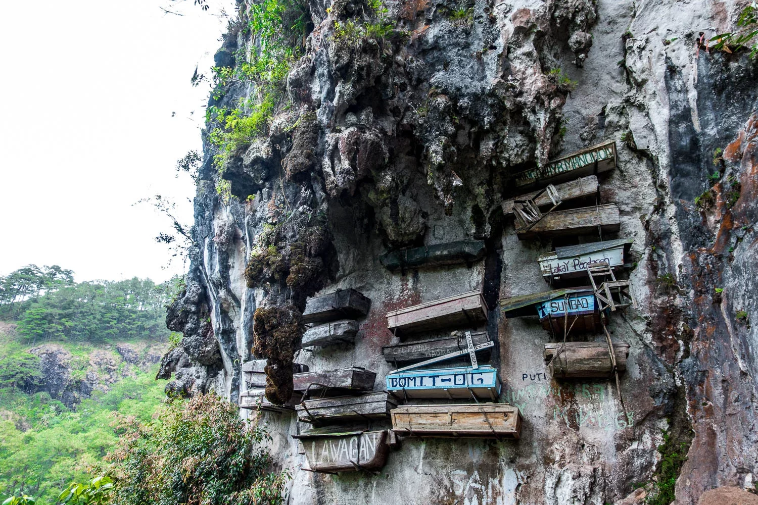 تابوتهای آویزان، ساگادا