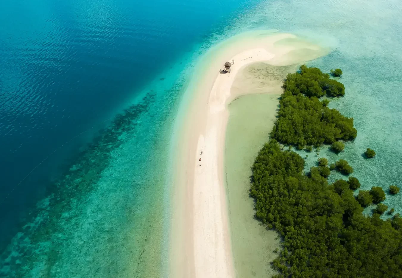 جزایر خلیج هوندا