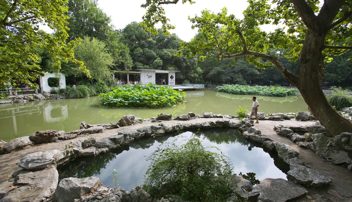 پارک فوشینگ شانگهای