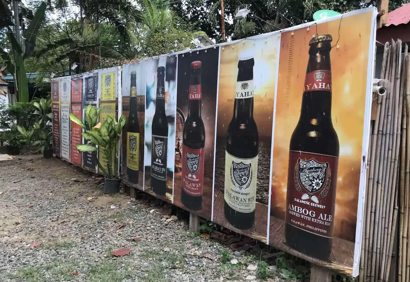 آبجوسازی پالاونو در پورتو پرینسسا