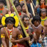 تور برزیل و جنگل آمازون نارون