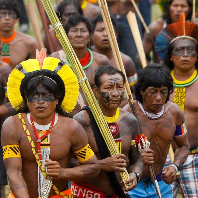 تور برزیل و جنگل آمازون نارون