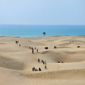 تور چابهار نارون