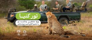 تور کنیا نارون