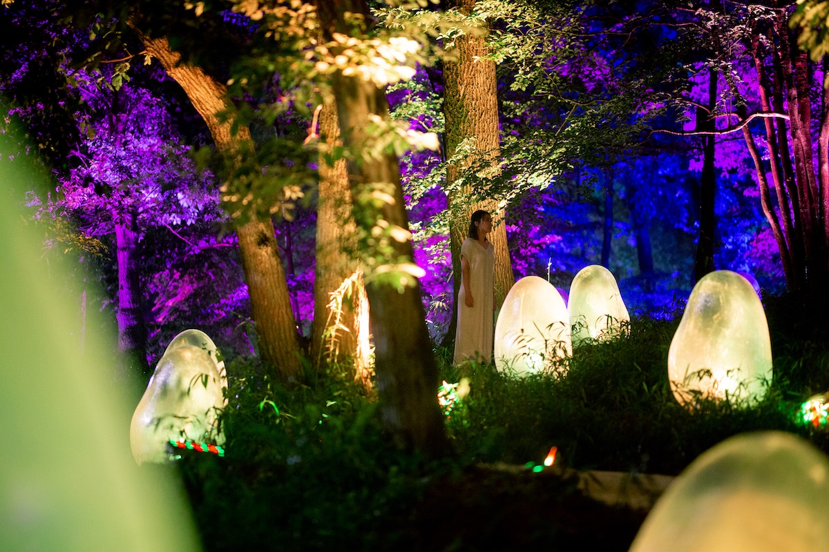 تخم‌مرغ‌های نورانی و درخشان