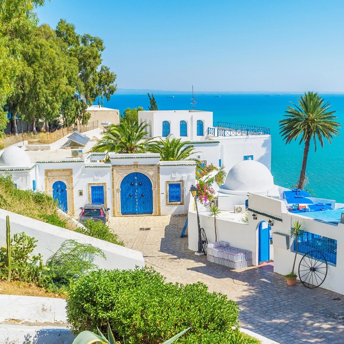 تور تونس نوروز نارون