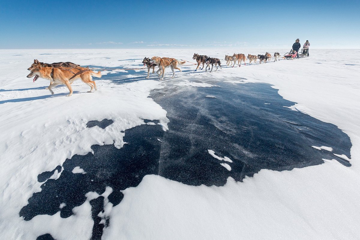 سورتمه سواری در تور سیبری