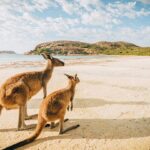 جاهای دیدنی استرالیا