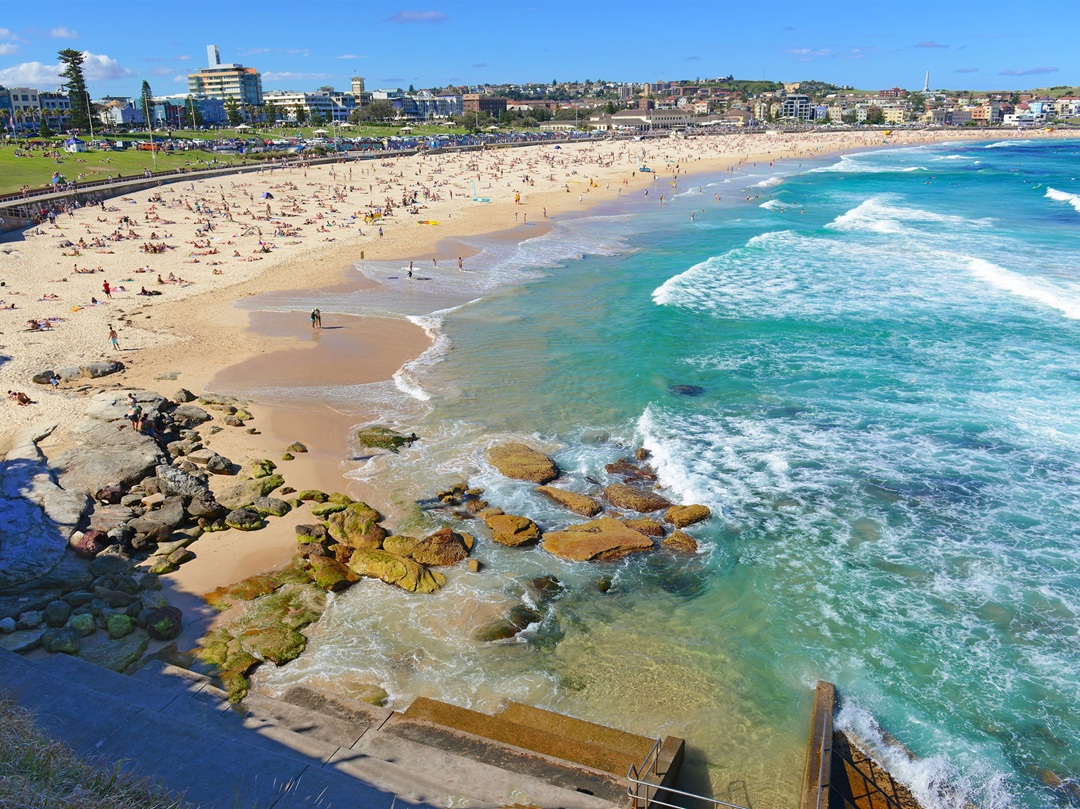 australia bondi koji