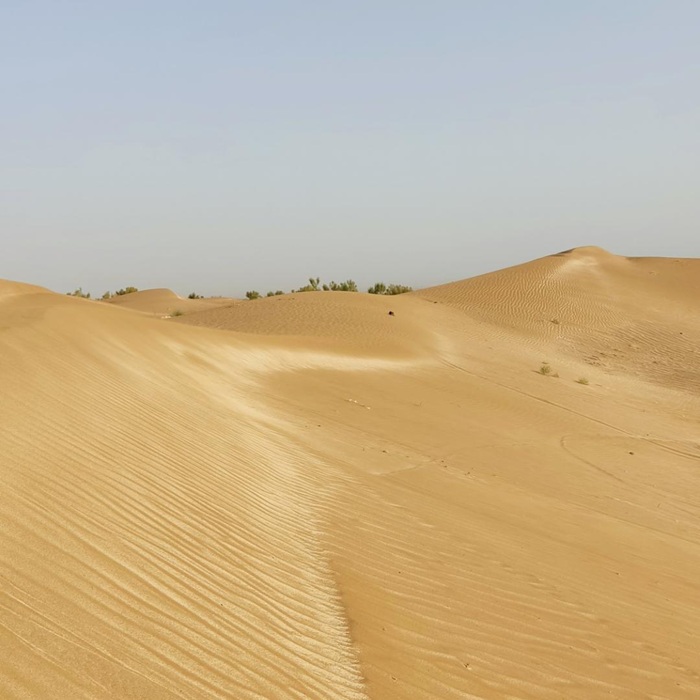 ترکینگ بند ریگ نارون