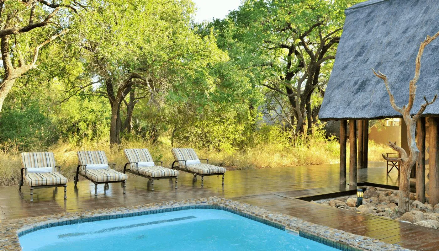 لژ بلک راینو