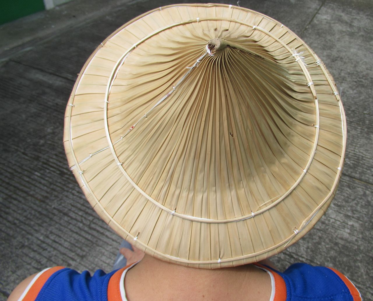 سالاکوت فیلیپینی