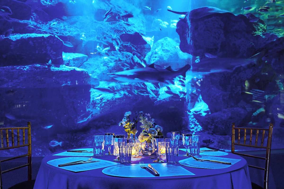 آکواریوم سومیدا