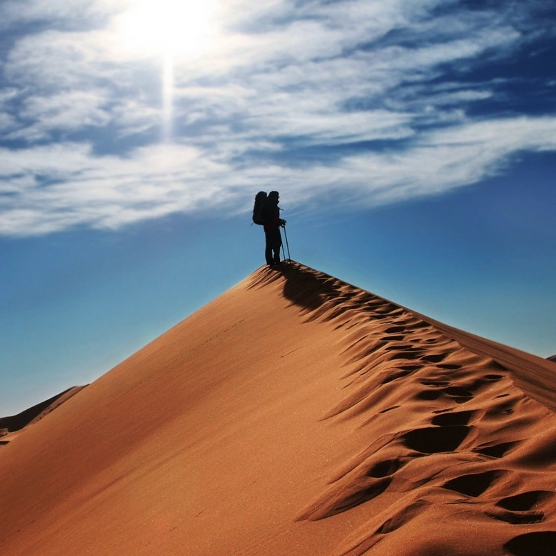 ترکینگ بند ریگ