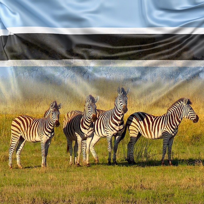 ویزای بوتسوانا