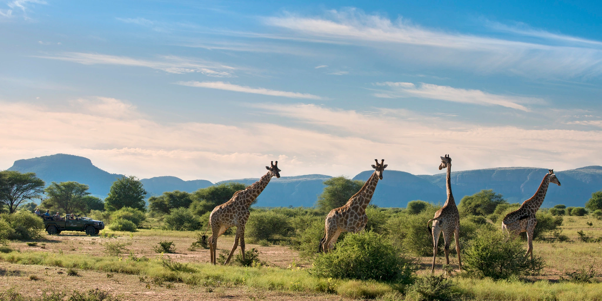 پارک ملی ماراکله