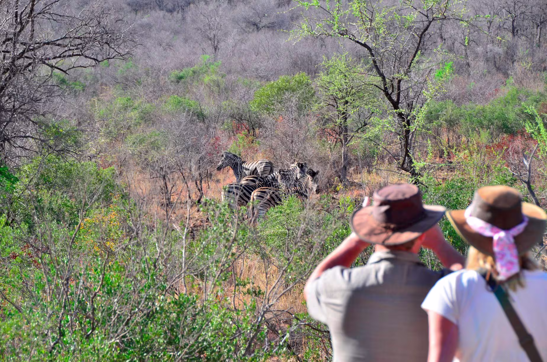 کمینگاههای عکاسی در پیلانزبرگ