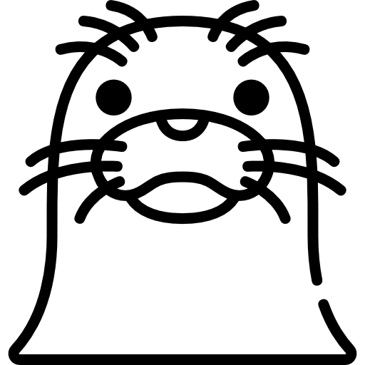 خدمات بازدید از جزیره فک های دریایی