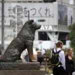 مجسمه هاچیکو