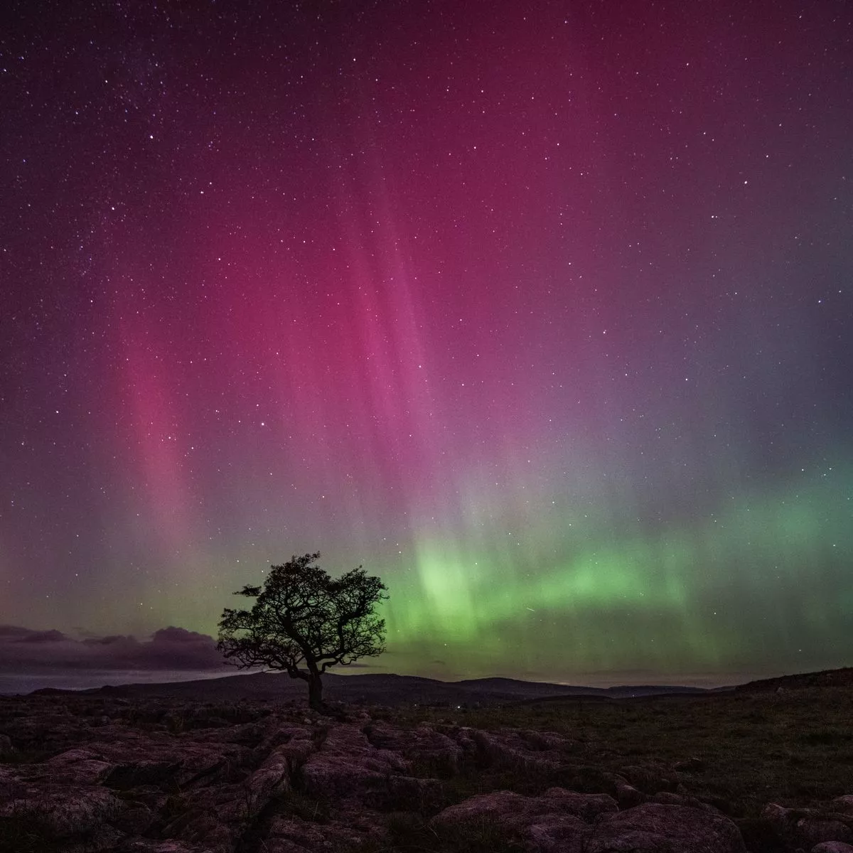 تور شفق قطبی 26 آذر 1405