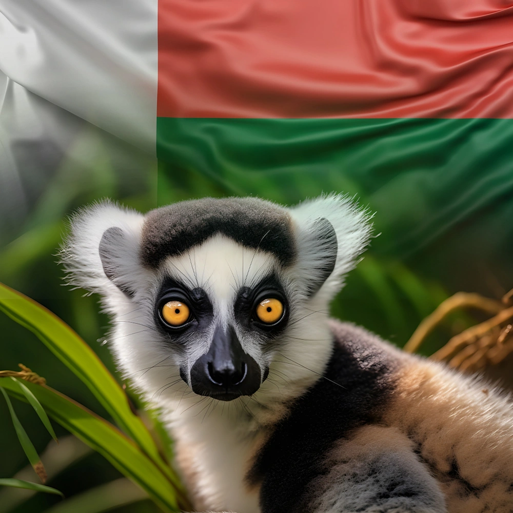 ویزا ماداگاسکار