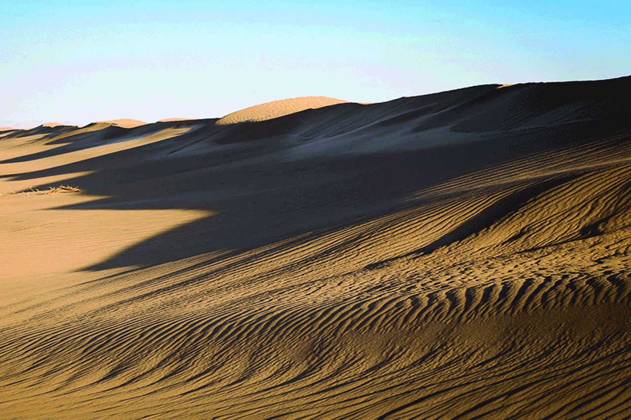 تپه‌های ماسه‌ای بوشهر