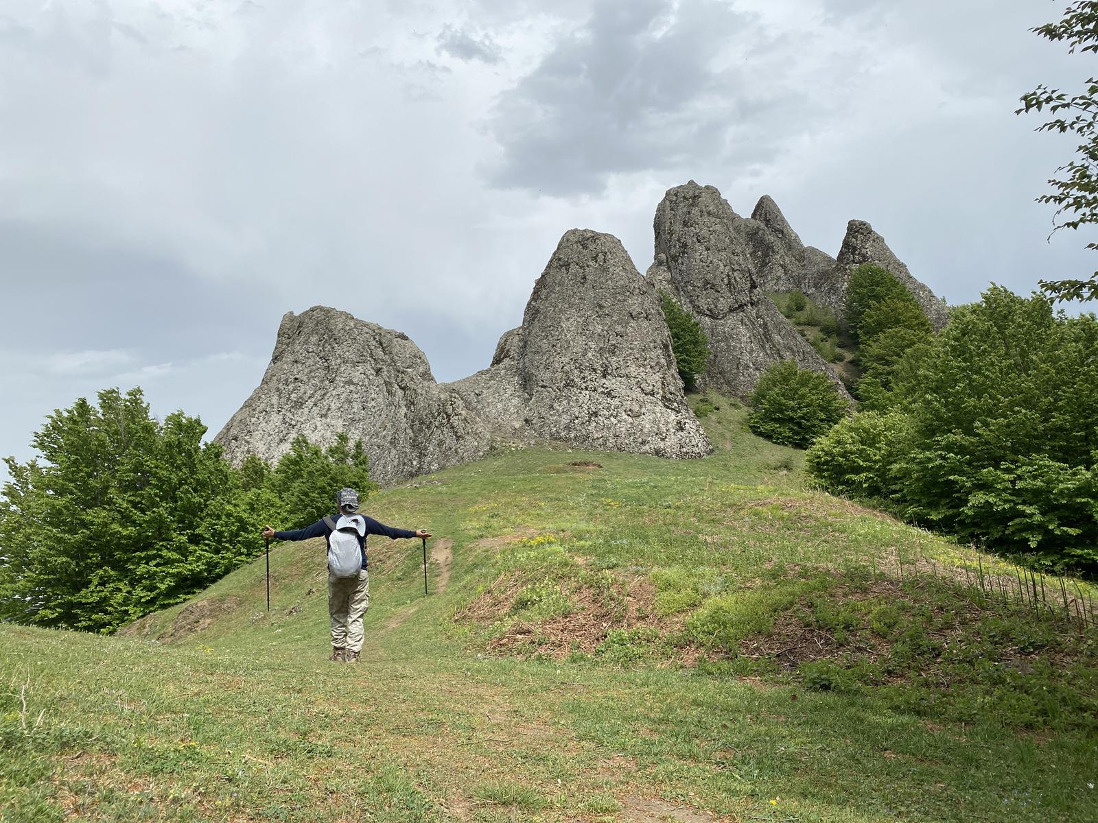 کوهپایه اسپیناس