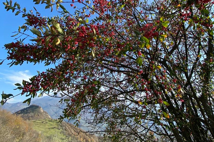 تصاویر صعود قله اوریم (3)