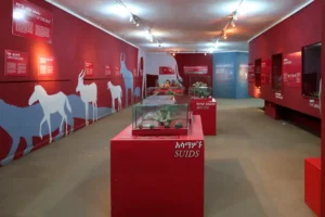 بخش فسیل شناسی موزه ملی اتیوپی