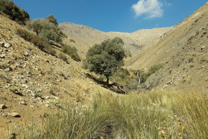 تصاویر صعود قله فیل زمین (4)