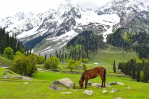 طبیعت سونمارگ و پاهالگام