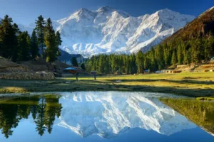 روز آخر فیری میدوز در تور پاکستان