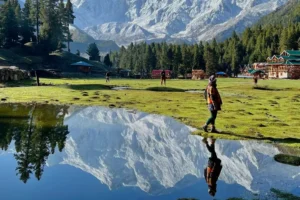 فیری میدوز در تور پاکستان