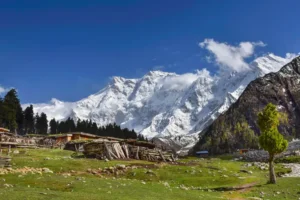 بیال کمپ