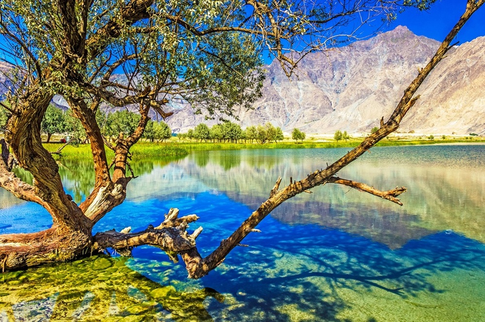دریاچه کور شیگر