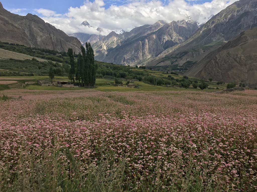 روستای آسکوله