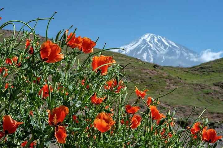 تصاویر کمپینگ دماوند (1)