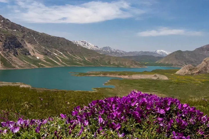 تصاویر کمپینگ دماوند (3)