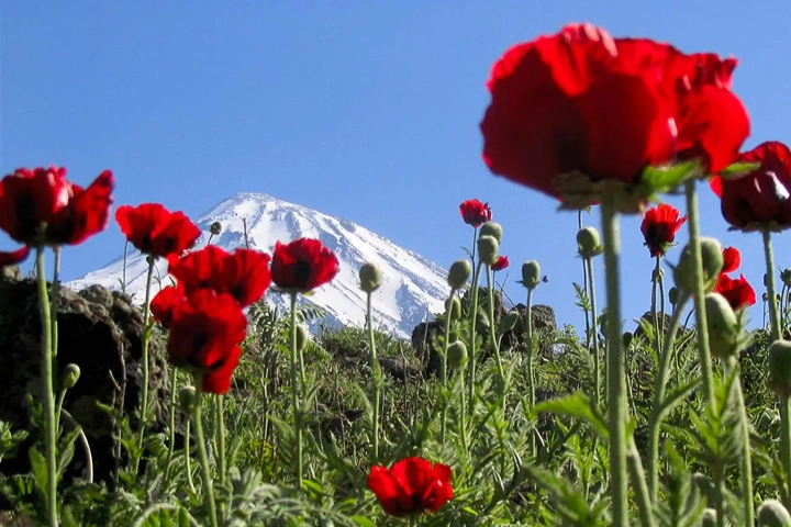 تصاویر کمپینگ دماوند (4)