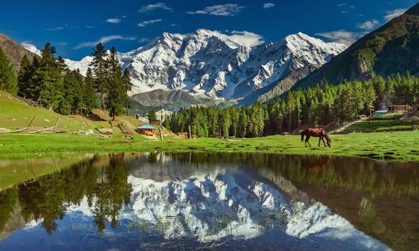 فیری میدوز (چمنزارهای پریان)