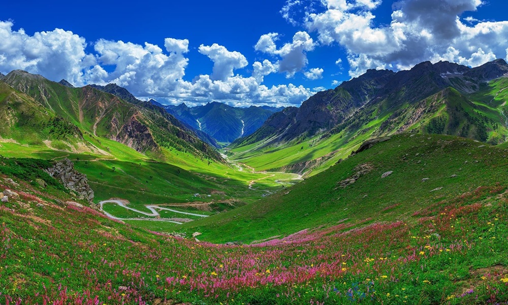 دشت فیری میدوز