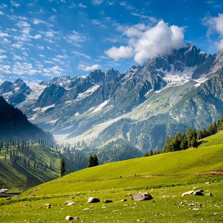 تصاویر تور کشمیر و هند (2)