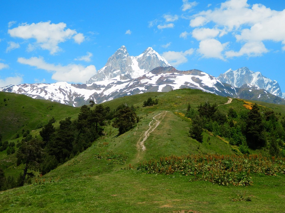 کوه اوشبا