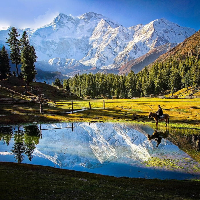 تصاویر تور پاکستان (6)