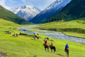 بازدید از دره زیبای آلتینآرشان