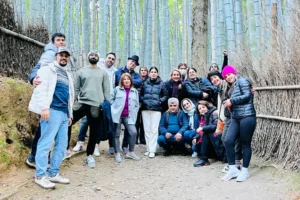 عکس دسته جمعی نارون در جنگل بامبو